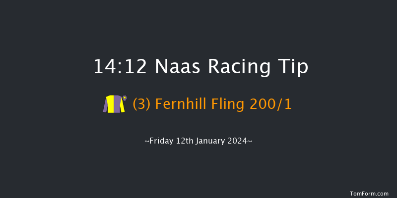 Naas 14:12 Maiden Hurdle 16f Sun 7th Jan 2024