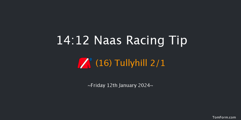 Naas 14:12 Maiden Hurdle 16f Sun 7th Jan 2024