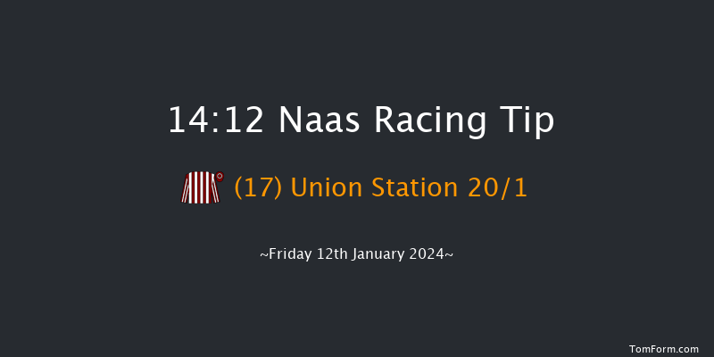 Naas 14:12 Maiden Hurdle 16f Sun 7th Jan 2024