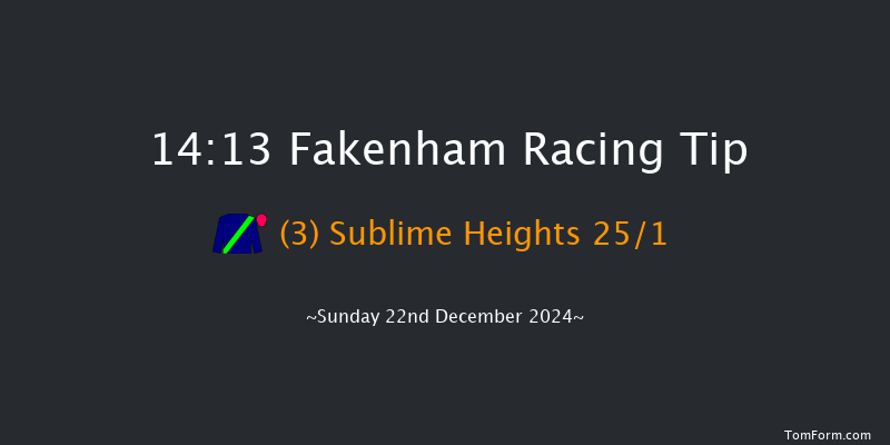 Fakenham  14:13 Handicap Chase (Class 4) 29f Tue 19th Nov 2024