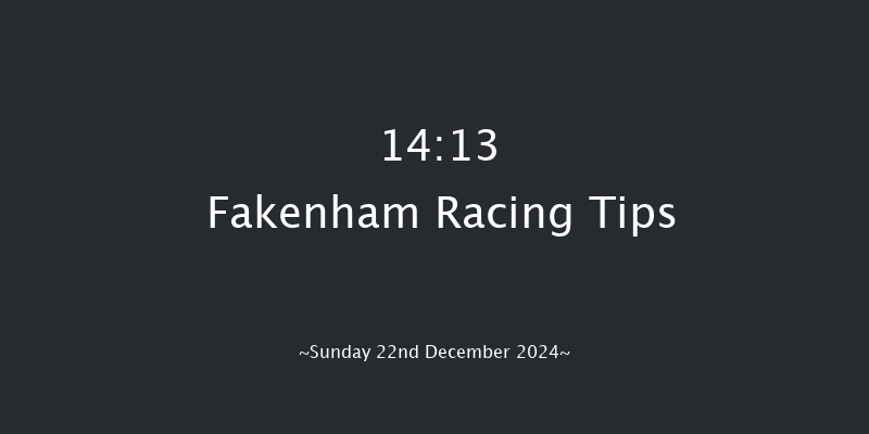 Fakenham  14:13 Handicap Chase (Class 4) 29f Tue 19th Nov 2024