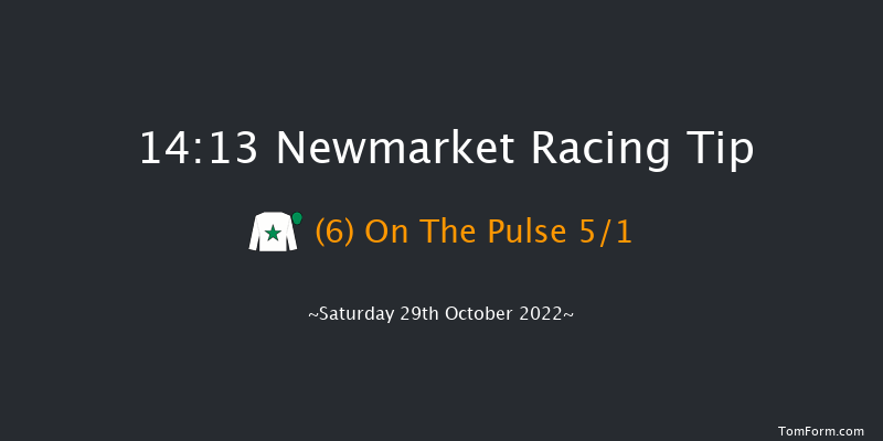 Newmarket 14:13 Handicap (Class 4) 7f Fri 28th Oct 2022