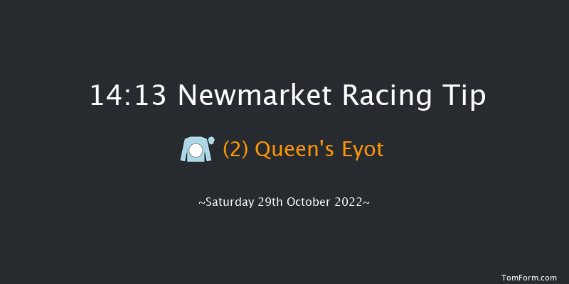 Newmarket 14:13 Handicap (Class 4) 7f Fri 28th Oct 2022