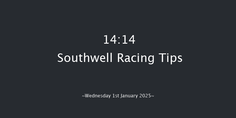 Southwell  14:14 Handicap Hurdle (Class 3) 20f Sun 29th Dec 2024