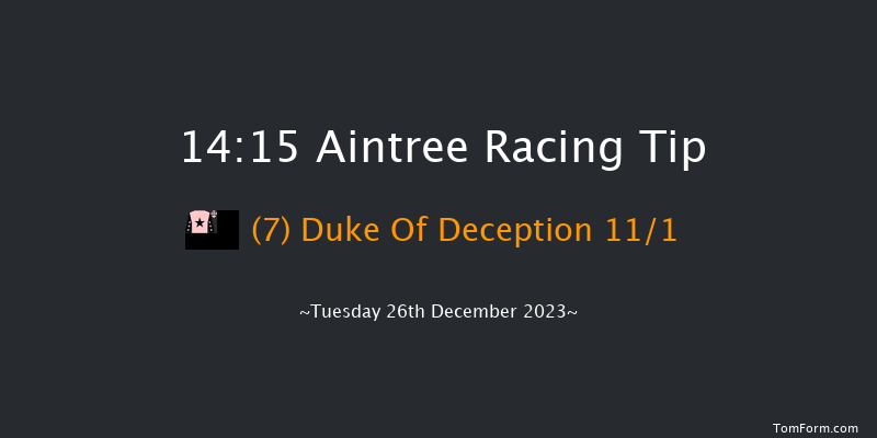 Aintree 14:15 Handicap Chase (Class 3) 25f Sat 9th Dec 2023