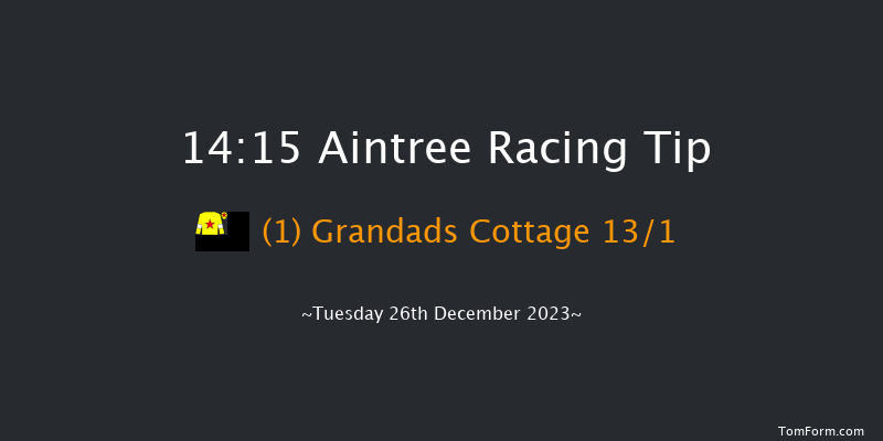 Aintree 14:15 Handicap Chase (Class 3) 25f Sat 9th Dec 2023