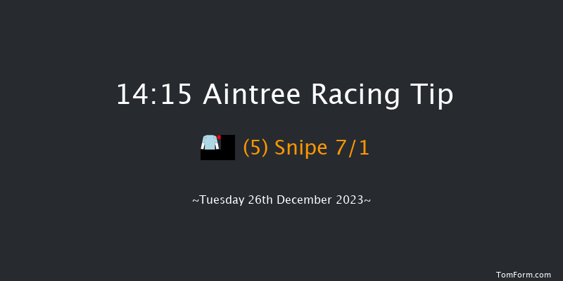 Aintree 14:15 Handicap Chase (Class 3) 25f Sat 9th Dec 2023