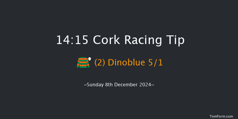 Cork  14:15 Conditions Chase 17f Sun 24th Nov 2024