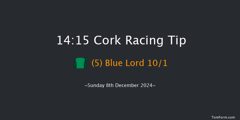 Cork  14:15 Conditions Chase 17f Sun 24th Nov 2024