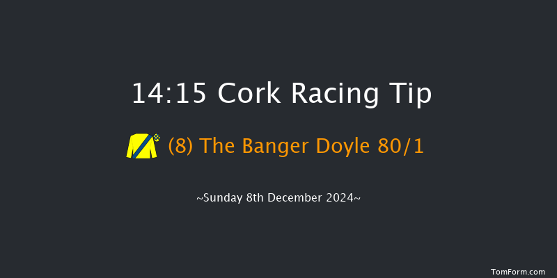 Cork  14:15 Conditions Chase 17f Sun 24th Nov 2024