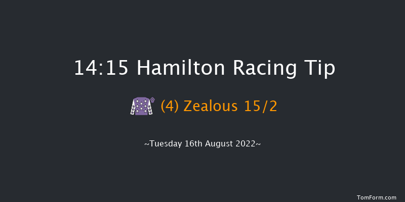 Hamilton 14:15 Handicap (Class 6) 8f Sat 30th Jul 2022