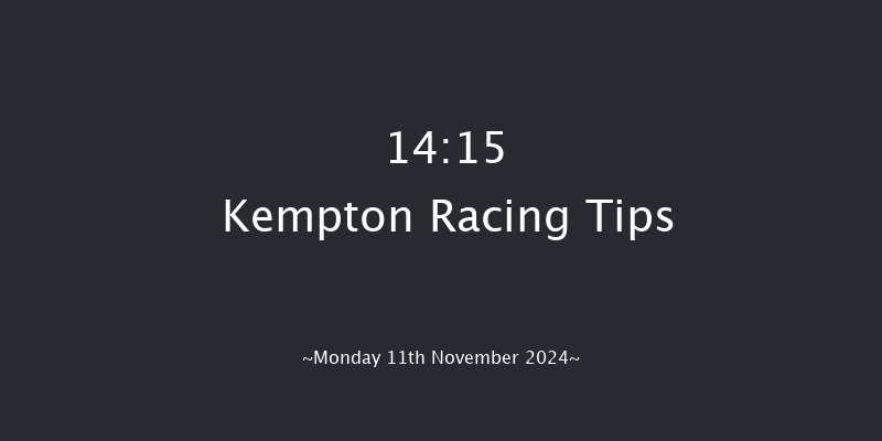 Kempton  14:15 Handicap Hurdle (Class 2) 21f  Wed 6th Nov 2024