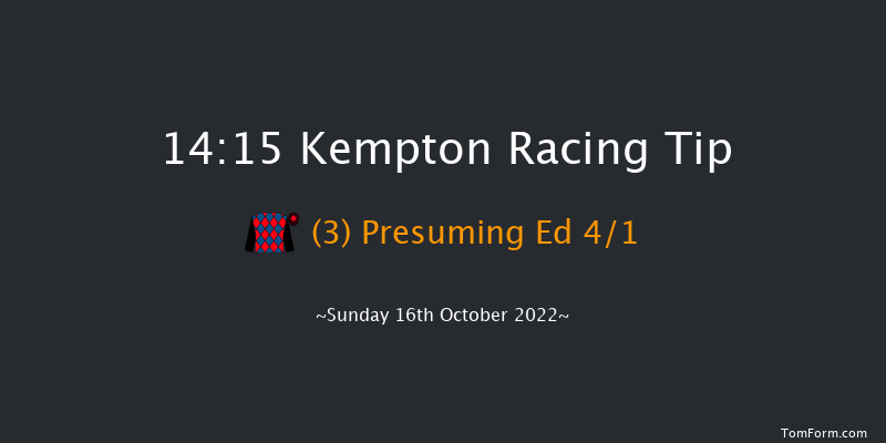 Kempton 14:15 Handicap Chase (Class 4) 18f Wed 12th Oct 2022