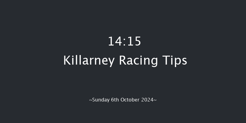 Killarney  14:15 Handicap Hurdle 17f  Sat 24th Aug 2024