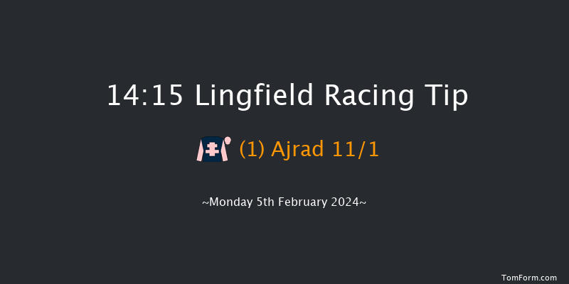 Lingfield  14:15 Stakes (Class 6) 7f Sun 4th Feb 2024