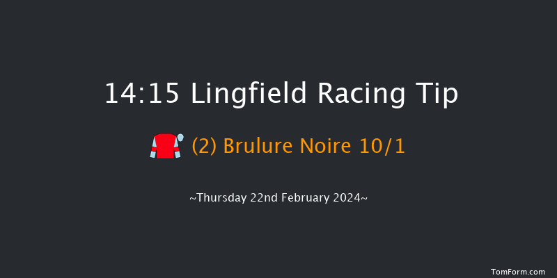 Lingfield  14:15 Handicap Chase (Class 4)
16f Mon 19th Feb 2024