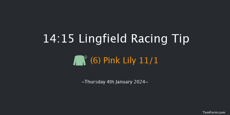 Lingfield 14:15 Handicap (Class 5) 10f Sun 31st Dec 2023