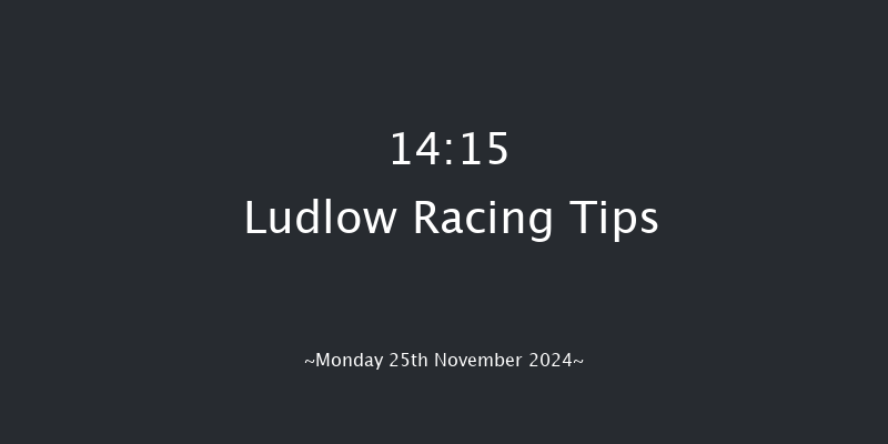 Ludlow  14:15 Handicap Hurdle (Class 5) 16f Thu 7th Nov 2024