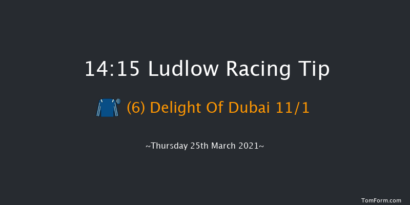 Join racingtv.com Novices' Handicap Chase (GBB Race) Ludlow 14:15 Handicap Chase (Class 4) 20f Thu 4th Mar 2021