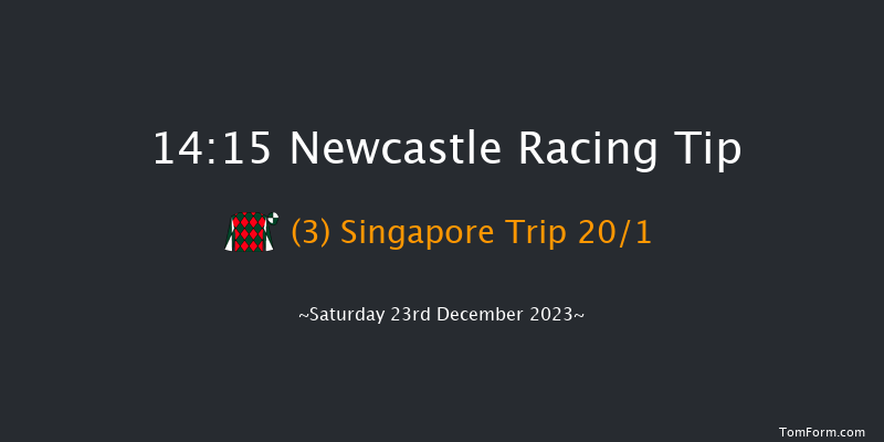 Newcastle 14:15 Handicap Hurdle (Class 4) 20f Sat 16th Dec 2023