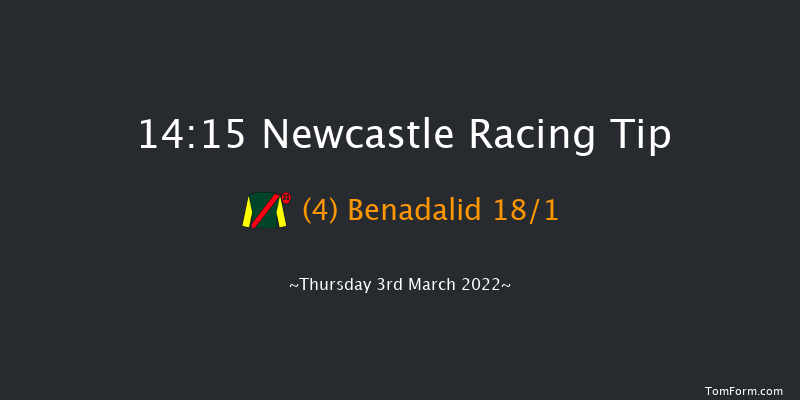 Newcastle 14:15 Handicap (Class 4) 12f Tue 1st Mar 2022