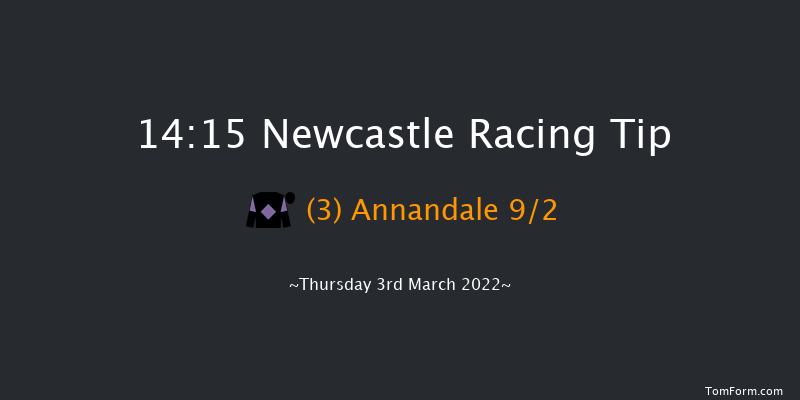 Newcastle 14:15 Handicap (Class 4) 12f Tue 1st Mar 2022