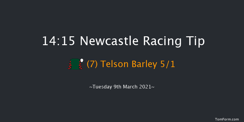 Quinnbet Live Casino Handicap Chase Newcastle 14:15 Handicap Chase (Class 4) 23f Fri 5th Mar 2021