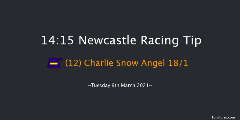 Quinnbet Live Casino Handicap Chase Newcastle 14:15 Handicap Chase (Class 4) 23f Fri 5th Mar 2021