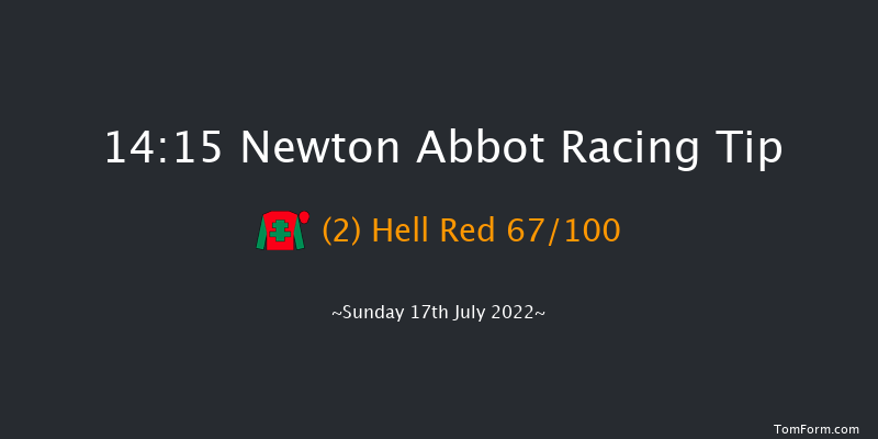 Newton Abbot 14:15 Maiden Chase (Class 3) 26f Mon 11th Jul 2022