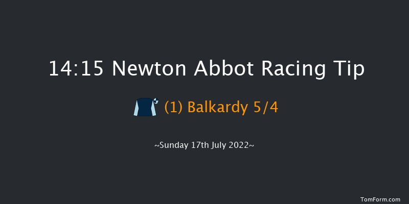 Newton Abbot 14:15 Maiden Chase (Class 3) 26f Mon 11th Jul 2022