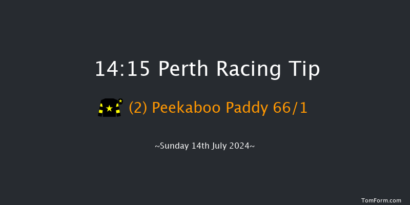 Perth  14:15 Novices Hurdle (Class 4) 20f Thu 4th Jul 2024