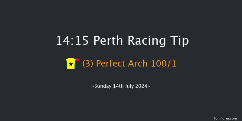 Perth  14:15 Novices Hurdle (Class 4) 20f Thu 4th Jul 2024