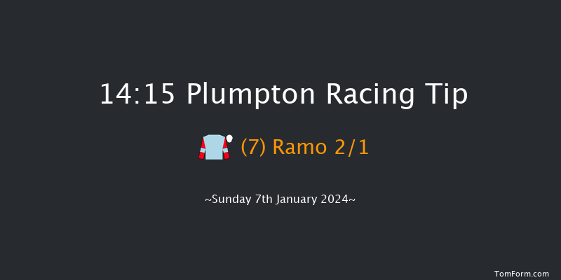 Plumpton 14:15 Handicap Hurdle (Class 2) 25f Mon 18th Dec 2023