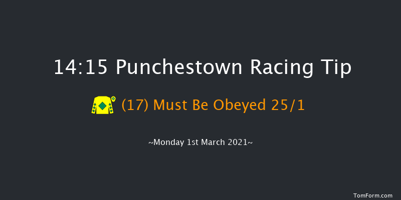 I.N.H. Stallion Owners EBF Maiden Hurdle Punchestown 14:15 Maiden Hurdle 20f Sun 14th Feb 2021