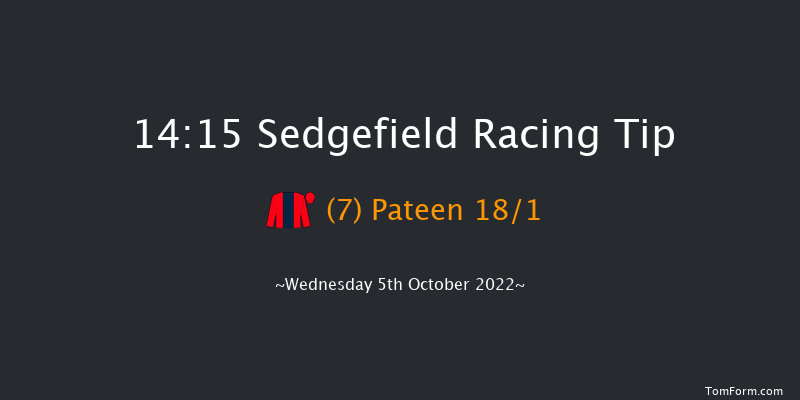 Sedgefield 14:15 Handicap Hurdle (Class 4) 20f Tue 27th Sep 2022