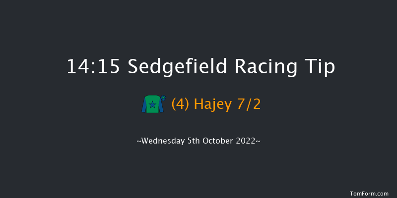 Sedgefield 14:15 Handicap Hurdle (Class 4) 20f Tue 27th Sep 2022