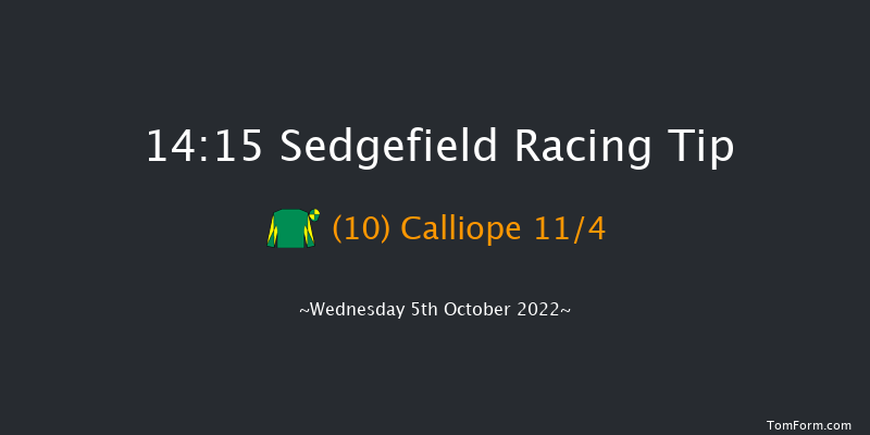 Sedgefield 14:15 Handicap Hurdle (Class 4) 20f Tue 27th Sep 2022