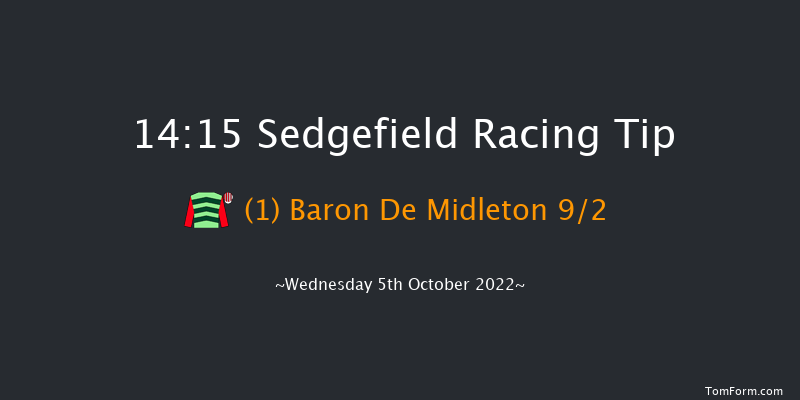 Sedgefield 14:15 Handicap Hurdle (Class 4) 20f Tue 27th Sep 2022