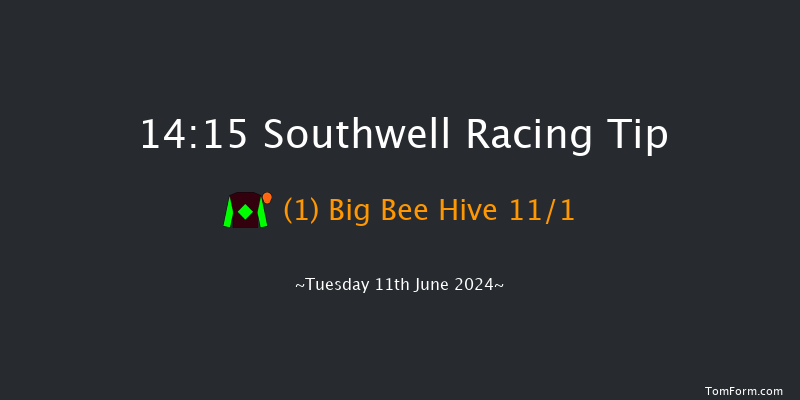 Southwell  14:15 Handicap Chase (Class 5)
24f Tue 4th Jun 2024