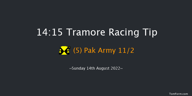 Tramore 14:15 Handicap Hurdle 16f Sat 13th Aug 2022