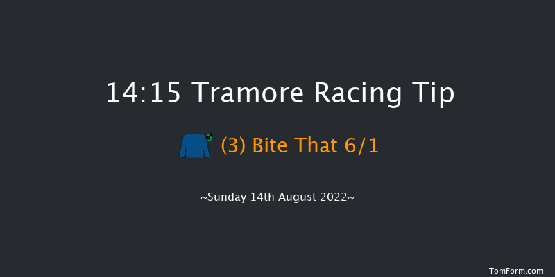 Tramore 14:15 Handicap Hurdle 16f Sat 13th Aug 2022