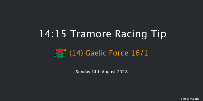 Tramore 14:15 Handicap Hurdle 16f Sat 13th Aug 2022