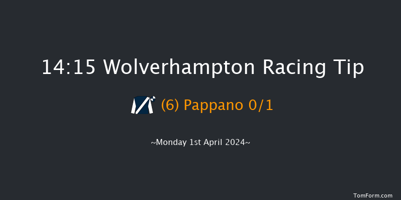 Wolverhampton  14:15 Stakes (Class 4) 12f Sat 30th Mar 2024