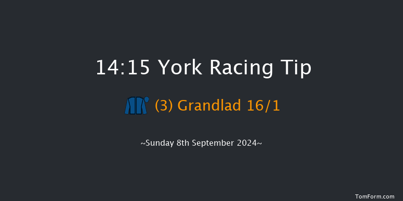 York  14:15 Handicap (Class 3) 5f Sat 24th Aug 2024