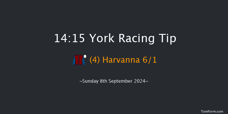 York  14:15 Handicap (Class 3) 5f Sat 24th Aug 2024