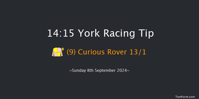 York  14:15 Handicap (Class 3) 5f Sat 24th Aug 2024