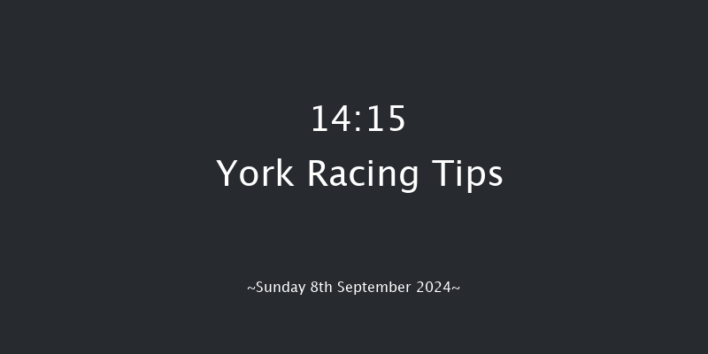 York  14:15 Handicap (Class 3) 5f Sat 24th Aug 2024