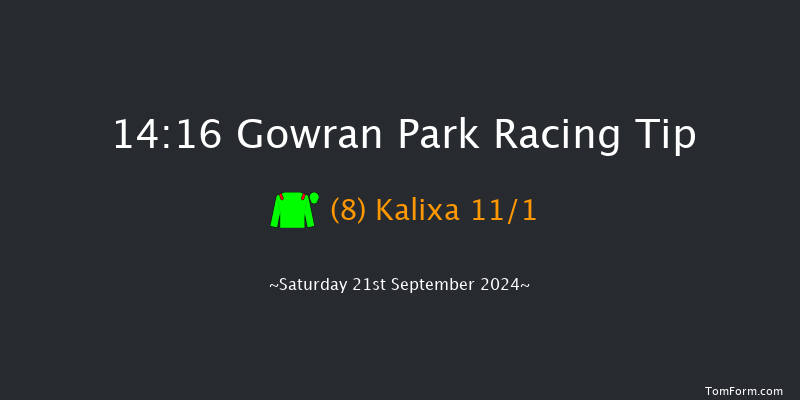 Gowran Park  14:16 Maiden 8f Tue 3rd Sep 2024