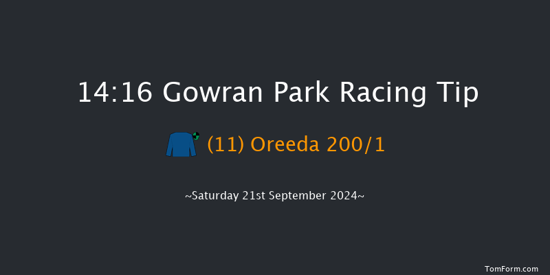 Gowran Park  14:16 Maiden 8f Tue 3rd Sep 2024