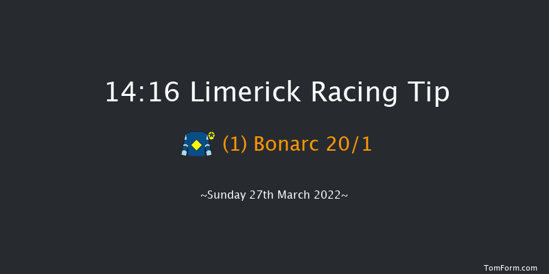 Limerick 14:16 Conditions Hurdle 16f Sun 13th Mar 2022